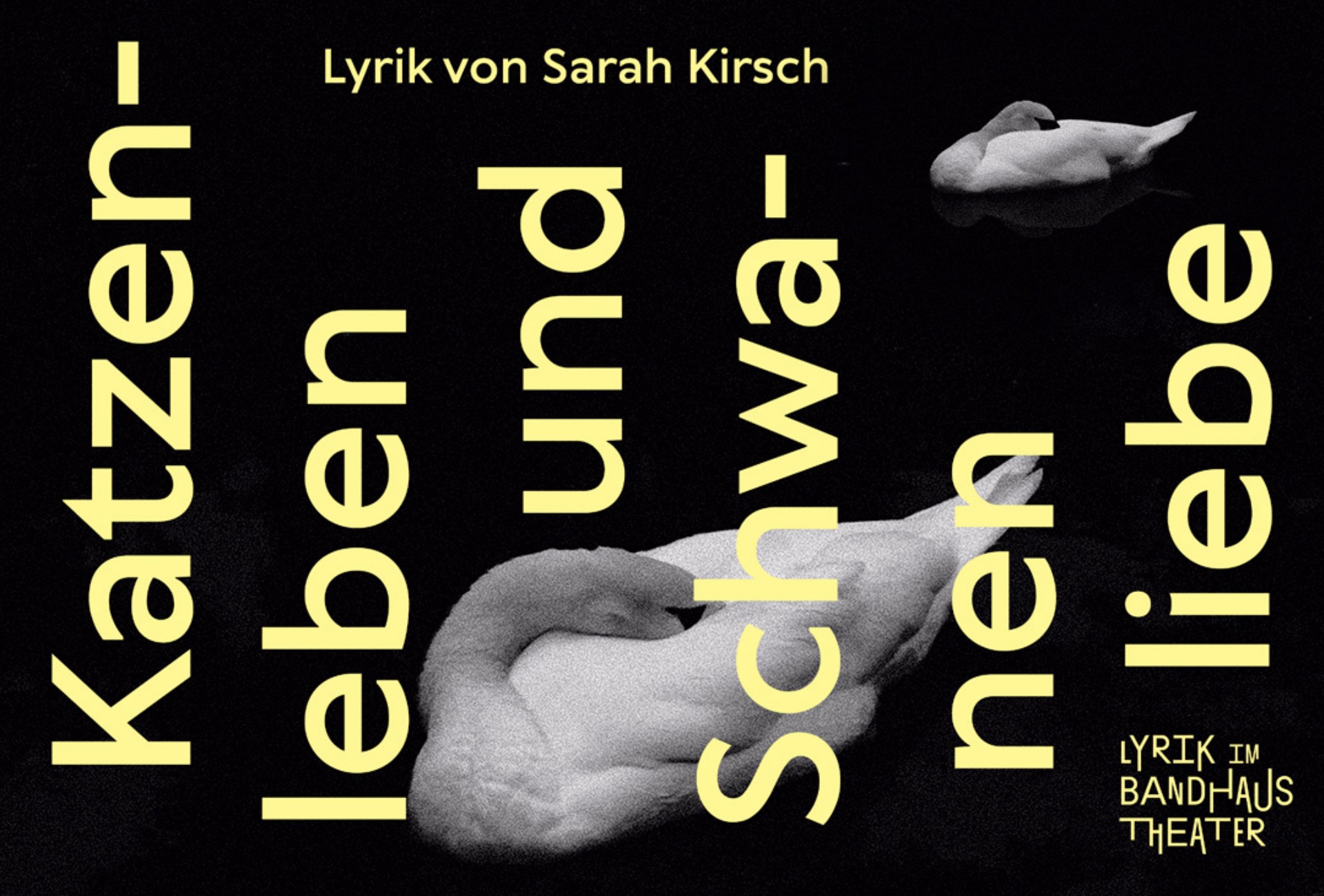 Katzenleben und Schwanenliebe – Lyrik von Sarah Kirsch